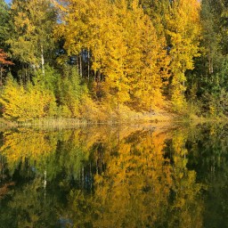 Outdoor Fall Adventures in Southern Finland